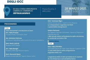 Composizione negoziata della crisi e formazione degli OCC