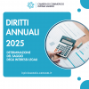 Diritto Annuale 